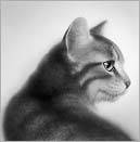 warriors_omen_of_th_cover-1